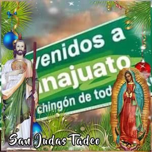 Meet your Posher, Armando